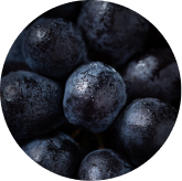 Grape Seed Extract